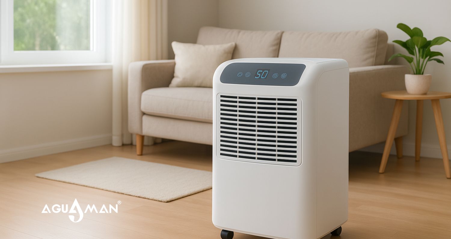 commercial dehumidifiers for indoor rooms